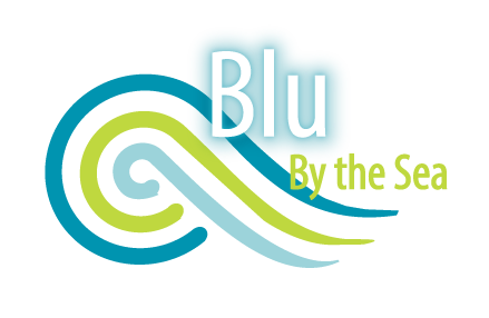blu_logo